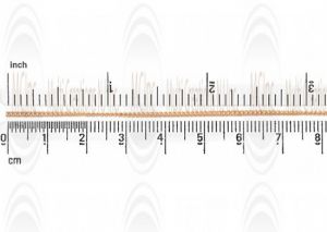 CHFC1 : GF Curb Chain  : 1.2 mm 