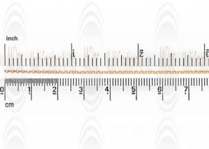 CHFR16 : GF Rolo Chain : 1.6 mm