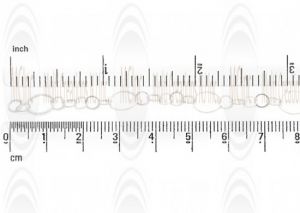 Flat Oval Link Chain : 11.6x9.5 mm with 5 links of 5.5 mm