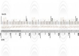 Round Cable Chain : 3 mm