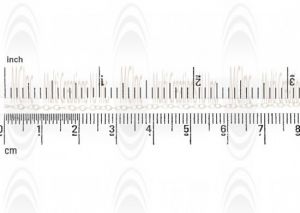 Oval Cable Chain : 2x0.9 mm 