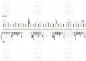 Oval Cable Chain : 2x1.5 mm 