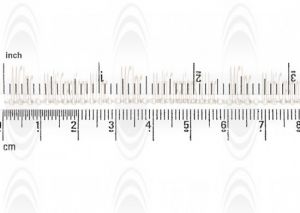 Rolo Chain : 1.7 mm 