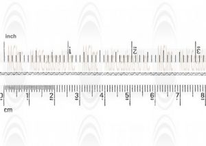 Mirror Finished Rolo Chain : 1.4 mm 