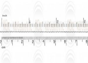 Mirror Finished Rolo Chain : 1.7 mm 