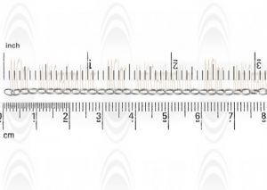 Oval Rolo Chain : 3.3x2.1 mm 