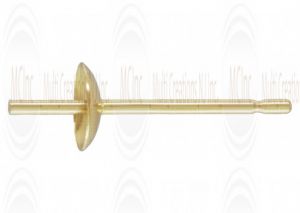 PPF : Gold Filled Pearl Posts 